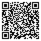 Scan QR Code for live pricing and information - Giselle 2pcs Pillows Microfibre