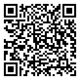 Scan QR Code for live pricing and information - S925 Silver Coin Pendant Necklace