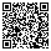 Scan QR Code for live pricing and information - Birkenstock Arizona Silver