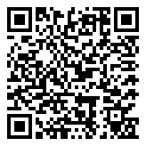 Scan QR Code for live pricing and information - Autel AutoLink AL319 On-Board Diagnostics OBDII/CAN Code Reader Auto Fault Code Scanner.