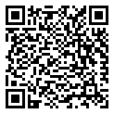 Scan QR Code for live pricing and information - Stockholm Christmas Lights Solar Path Light Candy Cane with Stars 4pc Warm White Steady and Flashing Effect 30cm Spacing 20 LEDs in Totall Warm White