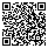 Scan QR Code for live pricing and information - V01 Mini U Disk Digital Voice Recorder Keychain - Black (4GB)