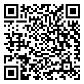 Scan QR Code for live pricing and information - S925 Silver Coin Pendant Necklace