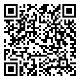 Scan QR Code for live pricing and information - Toyota Paseo 1995-1999 (L50) Replacement Wiper Blades Front and Rear