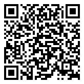 Scan QR Code for live pricing and information - S925 Silver Coin Pendant Necklace