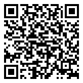 Scan QR Code for live pricing and information - S925 Silver Coin Pendant Necklace