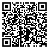 Scan QR Code for live pricing and information - 2-Layer Tire Racks 4 pcs Silver 110x40x110 cm Steel