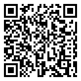 Scan QR Code for live pricing and information - 2-Layer Tire Racks 4 pcs Silver 110x40x180 cm Steel